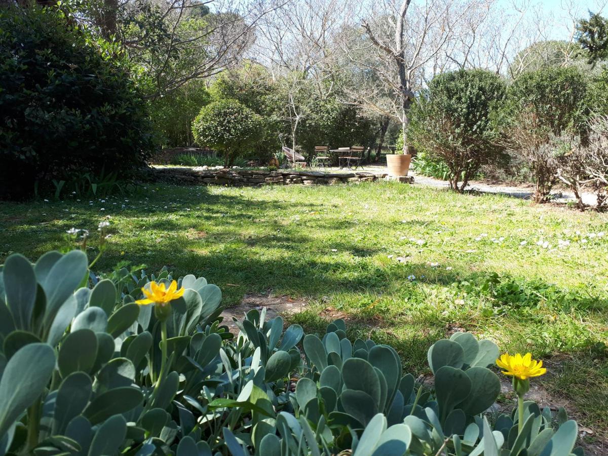 Aux Berges Du Pont Du Gard Bed & Breakfast