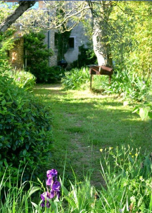Bed & Breakfast Aux Berges Du Pont Du Gard Vers-Pont-du-Gard