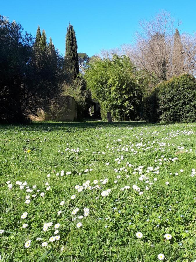Aux Berges Du Pont Du Gard Bed & Breakfast Vers-Pont-du-Gard