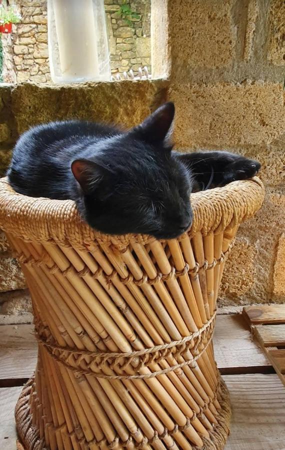 Aux Berges Du Pont Du Gard *
