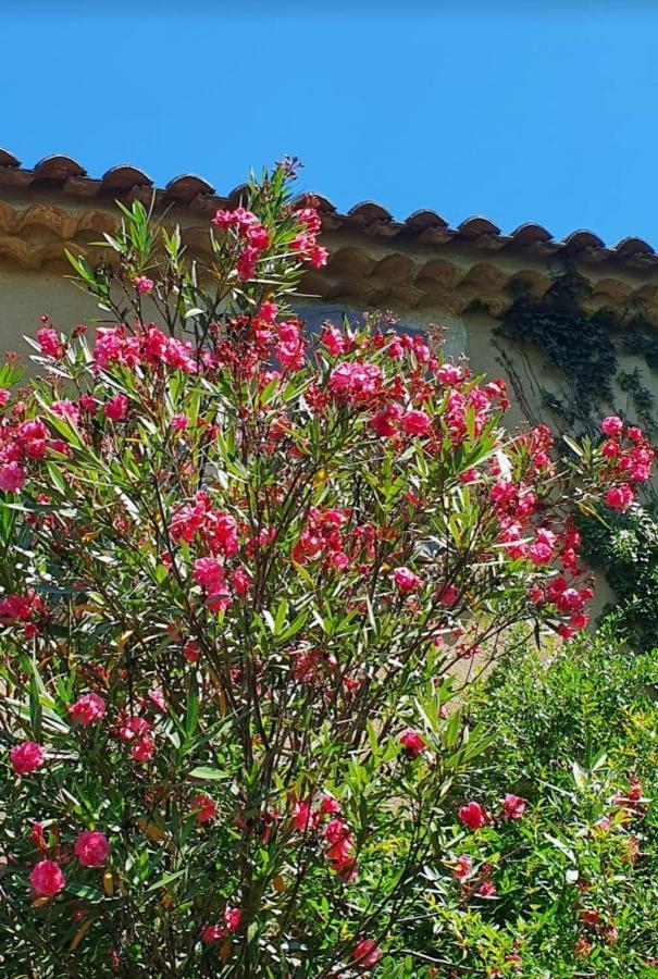 Aux Berges Du Pont Du Gard Bed & Breakfast