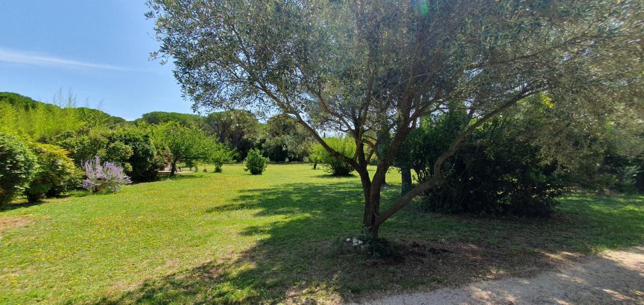 Aux Berges Du Pont Du Gard Bed & Breakfast *